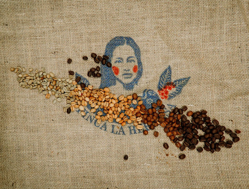Brew Your Own Coffee: A Guide to Home Roasting - AmenClub