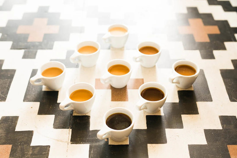 Explore the World of Coffee Culture: Traditions from Different Countries - AmenClub
