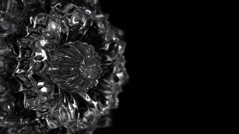 Jewelry Inspired by Nature: Floral, Animal, and Sea-Life Designs - AmenClub