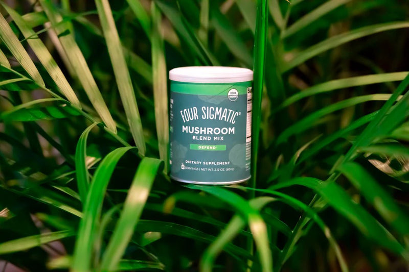 Myth-Busting Mushroom Coffee: Get the Real Facts! - AmenClub