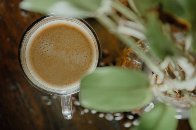The Science of Coffee Extraction: Brewing for Flavor - AmenClub