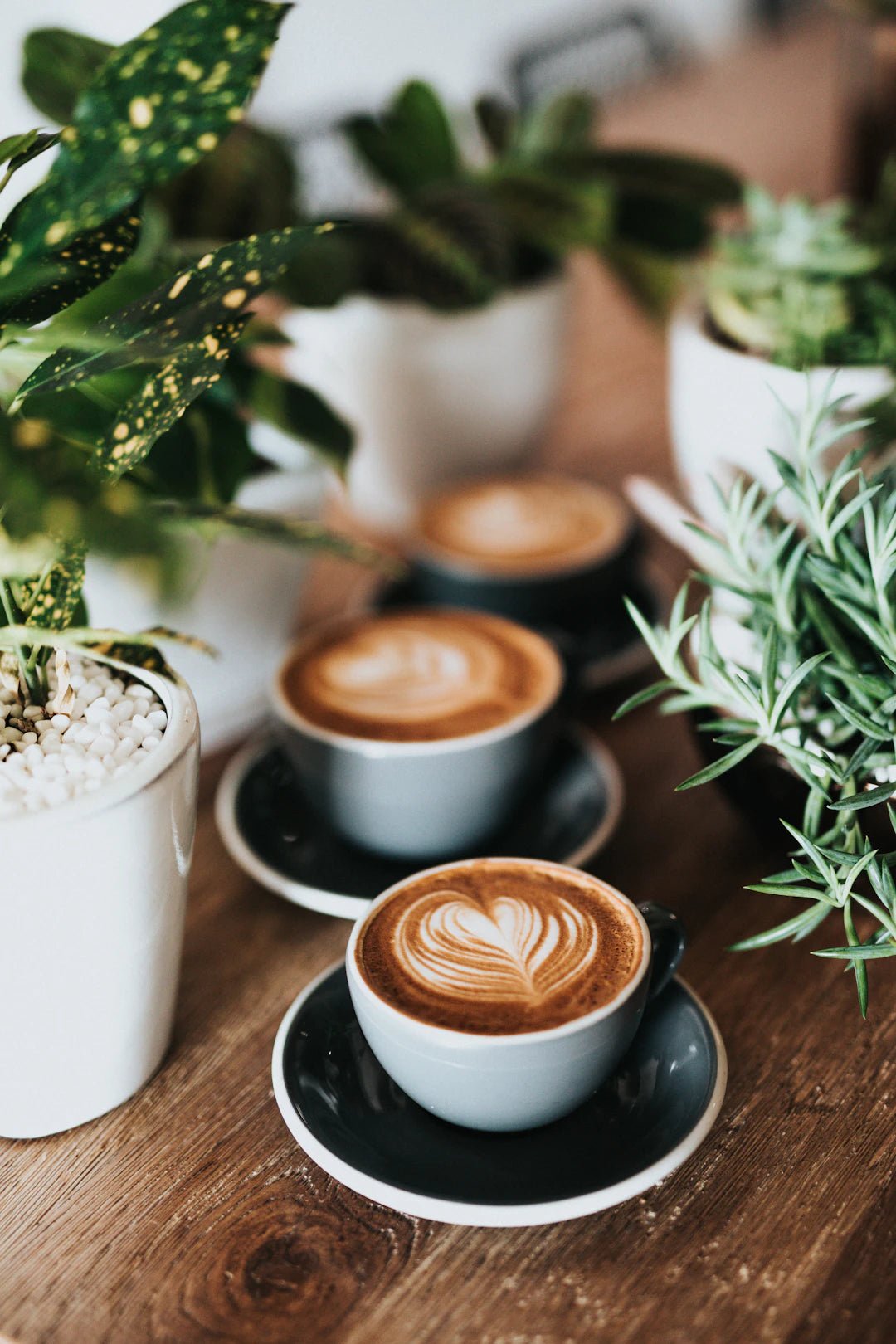 Coffee and Culture: Exploring Global Traditions - FYMA