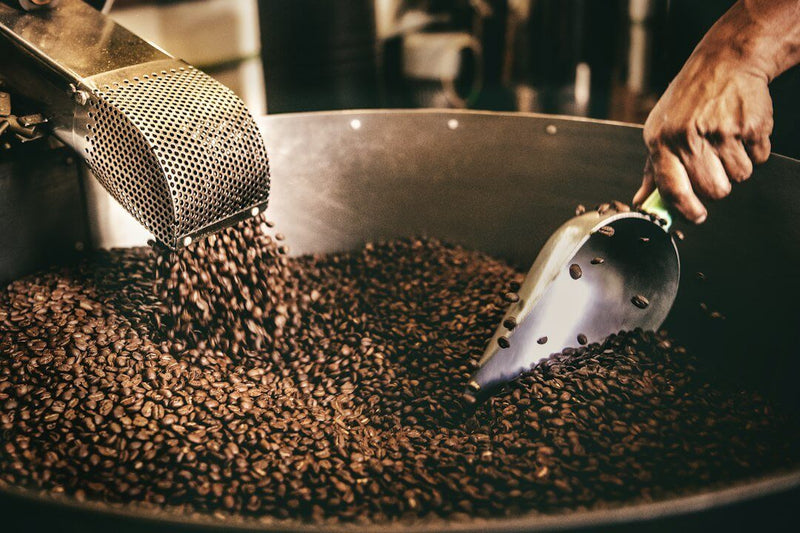 Discovering the Exotic: A Journey through Exotic Coffee Flavors - AmenClub