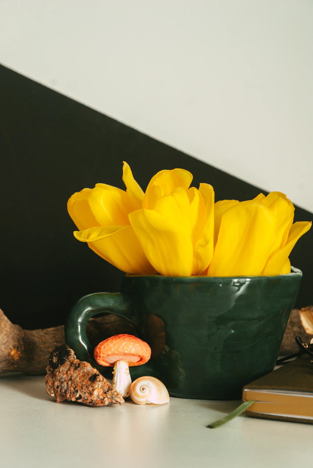 Find Your Perfect Mushroom Coffee Blend Today! - FYMA
