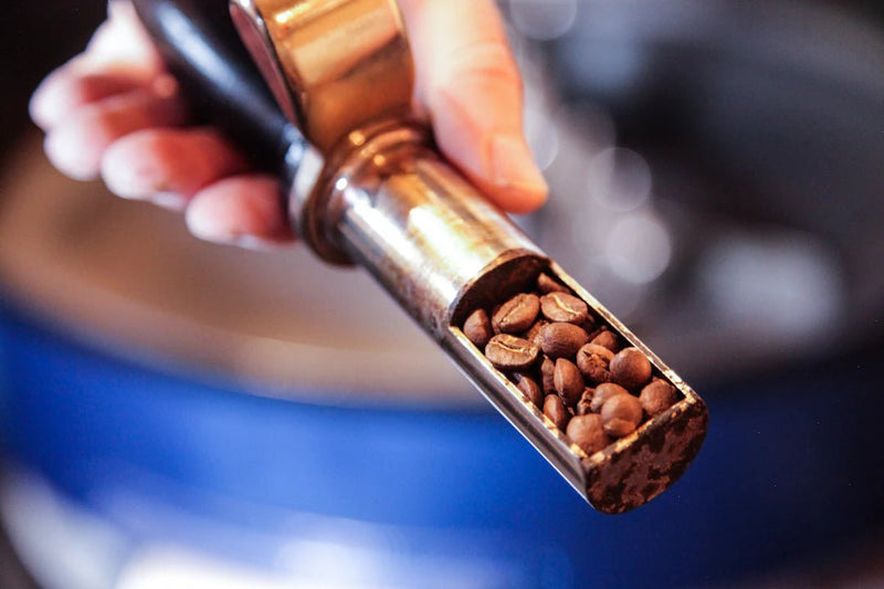 The Art and Science of Coffee Roasting: Unlocking the Secrets of Fresh Roast Coffee - AmenClub