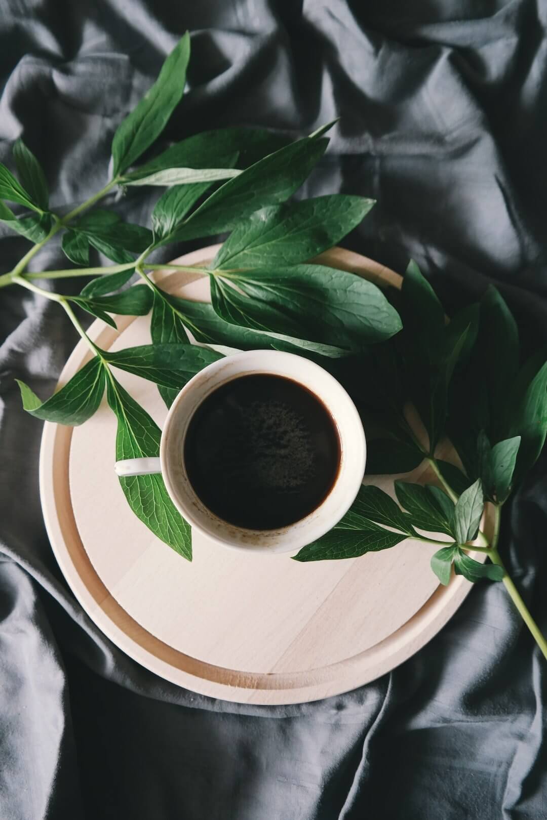 The Art of Coffee Cupping: Developing Your Palate - AmenClub