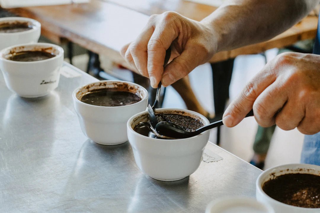 The Art of Coffee Tasting: How to Become a Cupping Expert - FYMA
