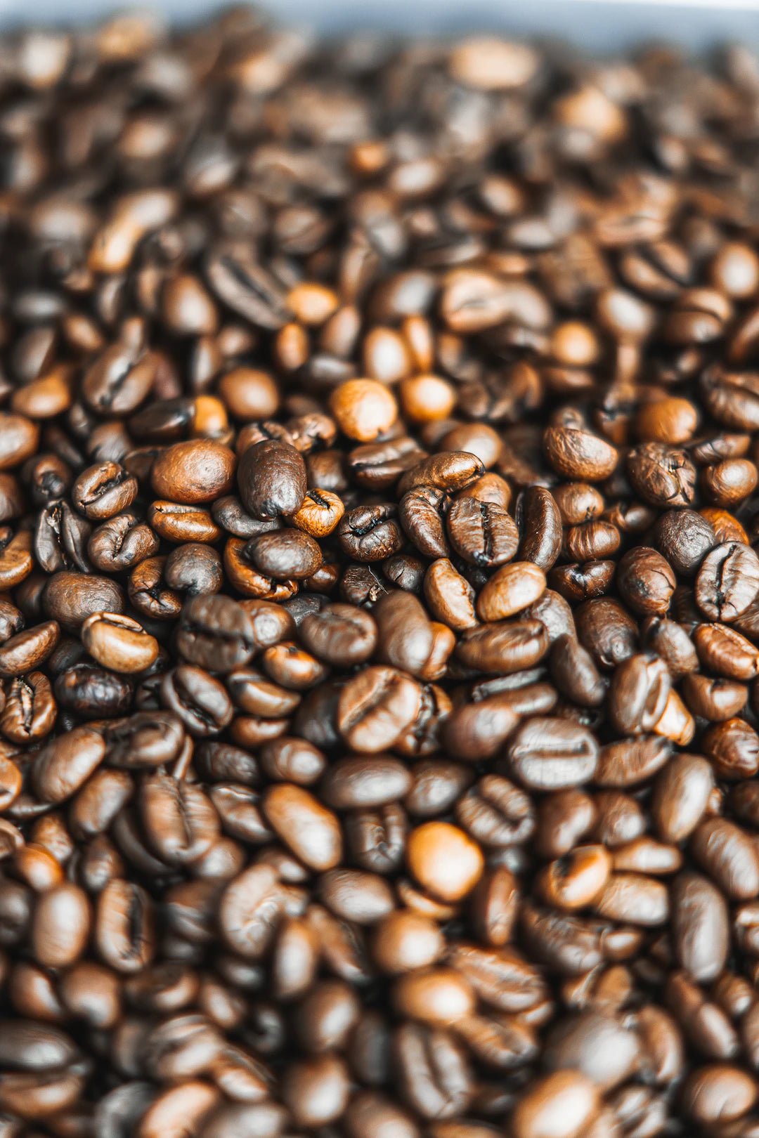 The Fascinating Journey of Coffee: From Bean to Brew - FYMA