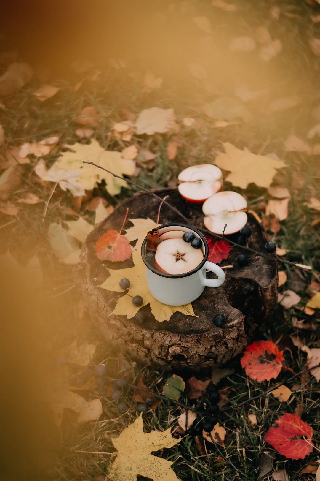 The Fascinating Journey of Mushroom Coffee - AmenClub