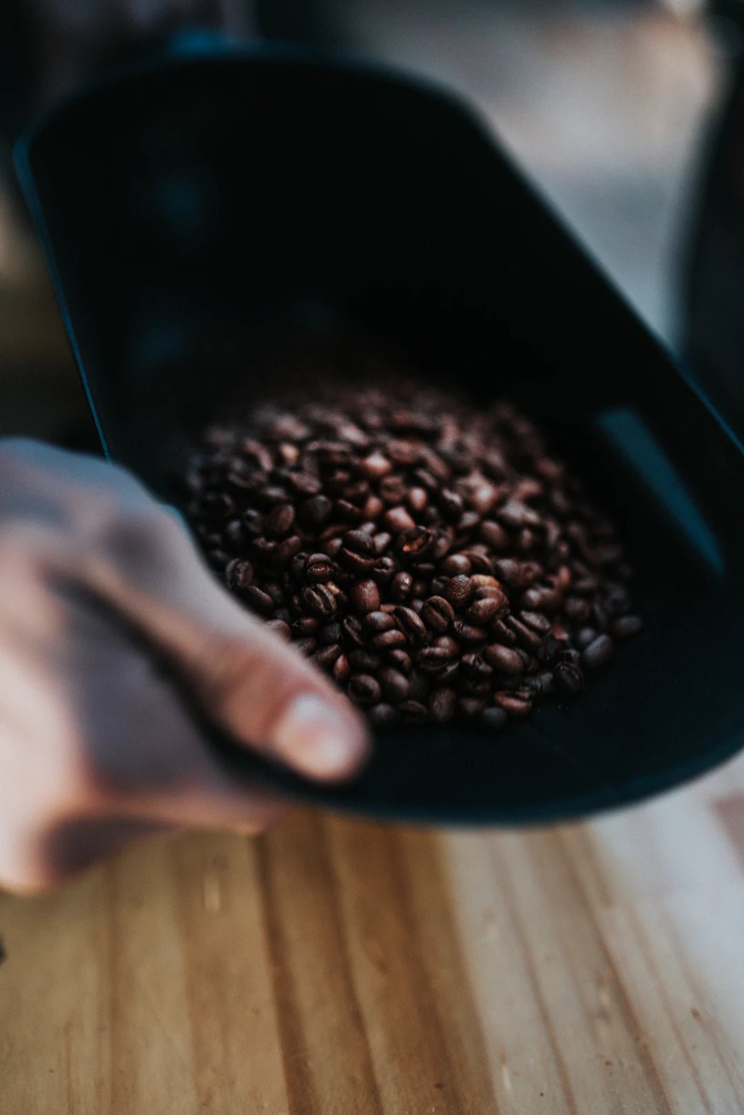 The Journey of Coffee: From Bean to Brew - FYMA