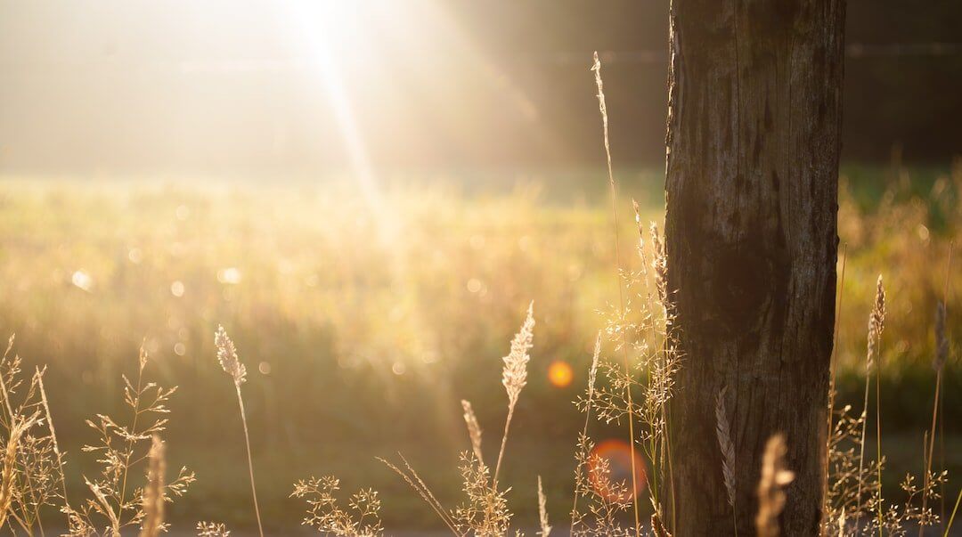 The Morning Brew: The Role of Coffee in Morning Rituals and Routines - FYMA