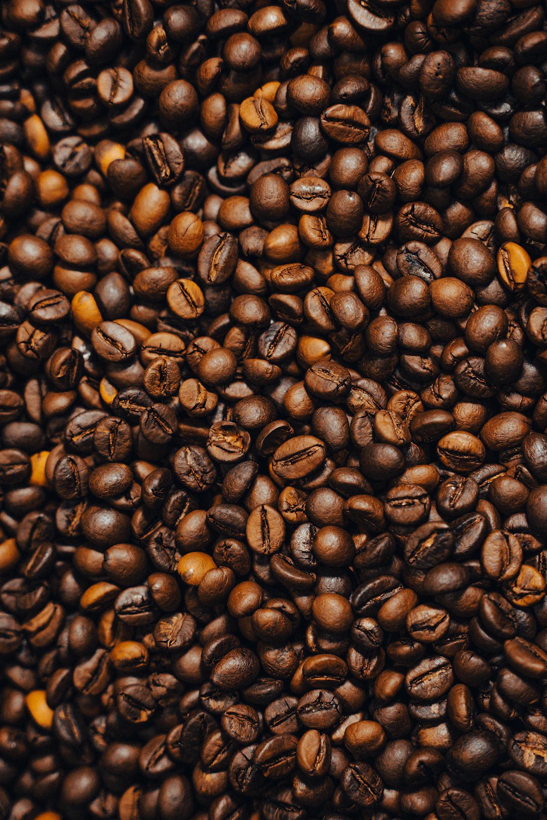 The Rich Journey of Coffee: From Bean to Brew - FYMA