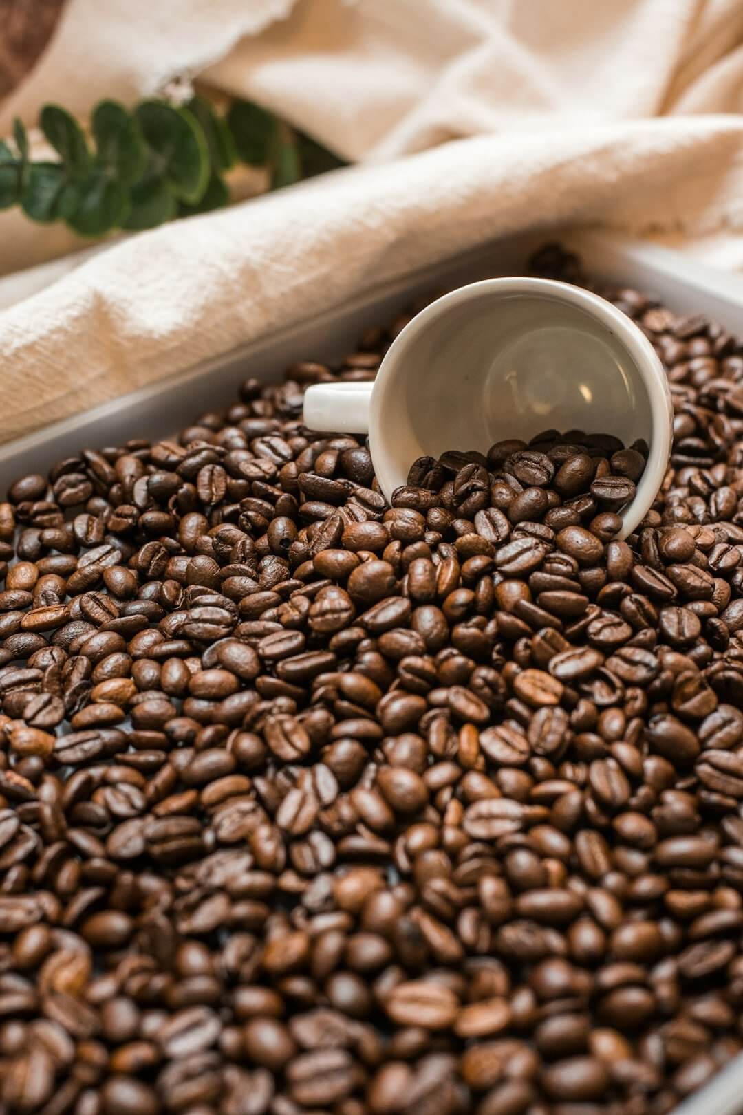 The Sustainable Coffee Movement: Brewing a Better Future - AmenClub