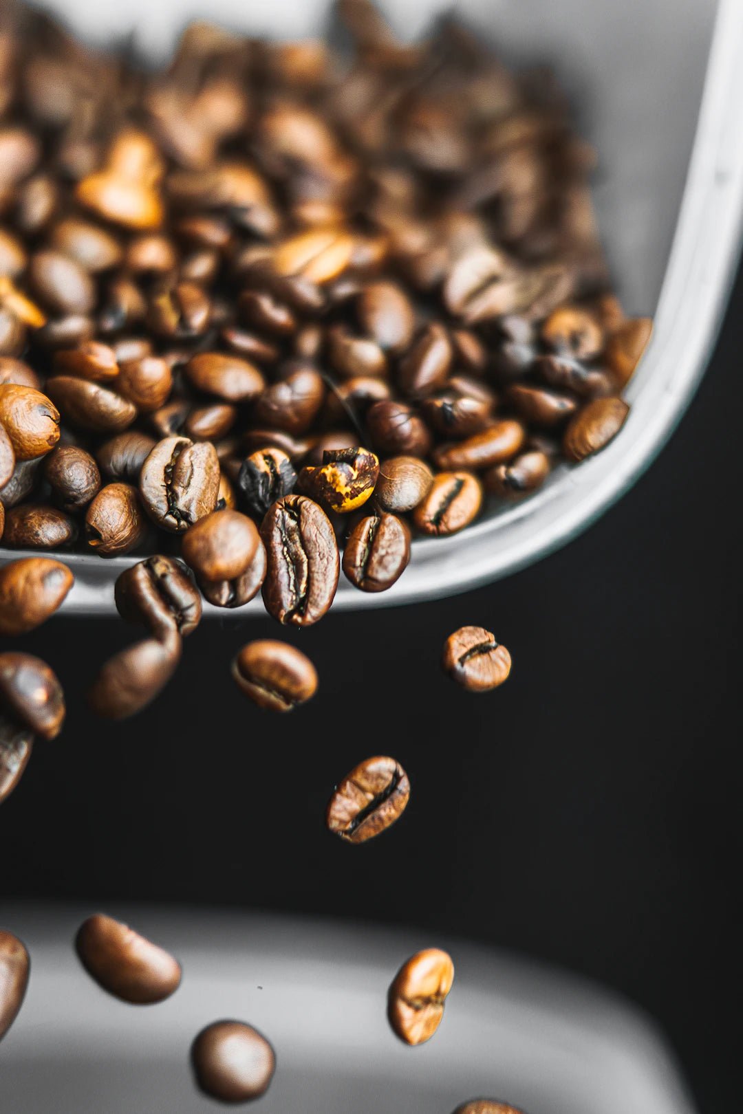 Unlocking the World of Coffee: Understanding Different Coffee Bean Varieties - FYMA