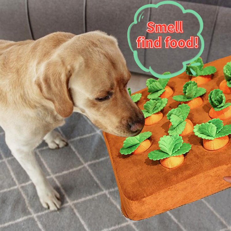 Carrot Toy for Dogs - Shopuz