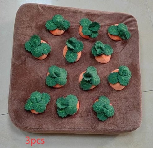 Carrot Toy for Dogs - Shopuz