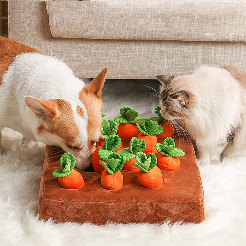 Carrot Toy for Dogs - Shopuz