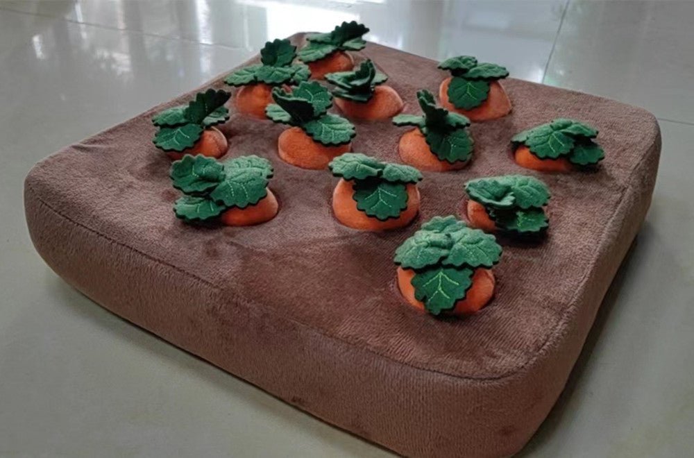 Carrot Toy for Dogs - Shopuz
