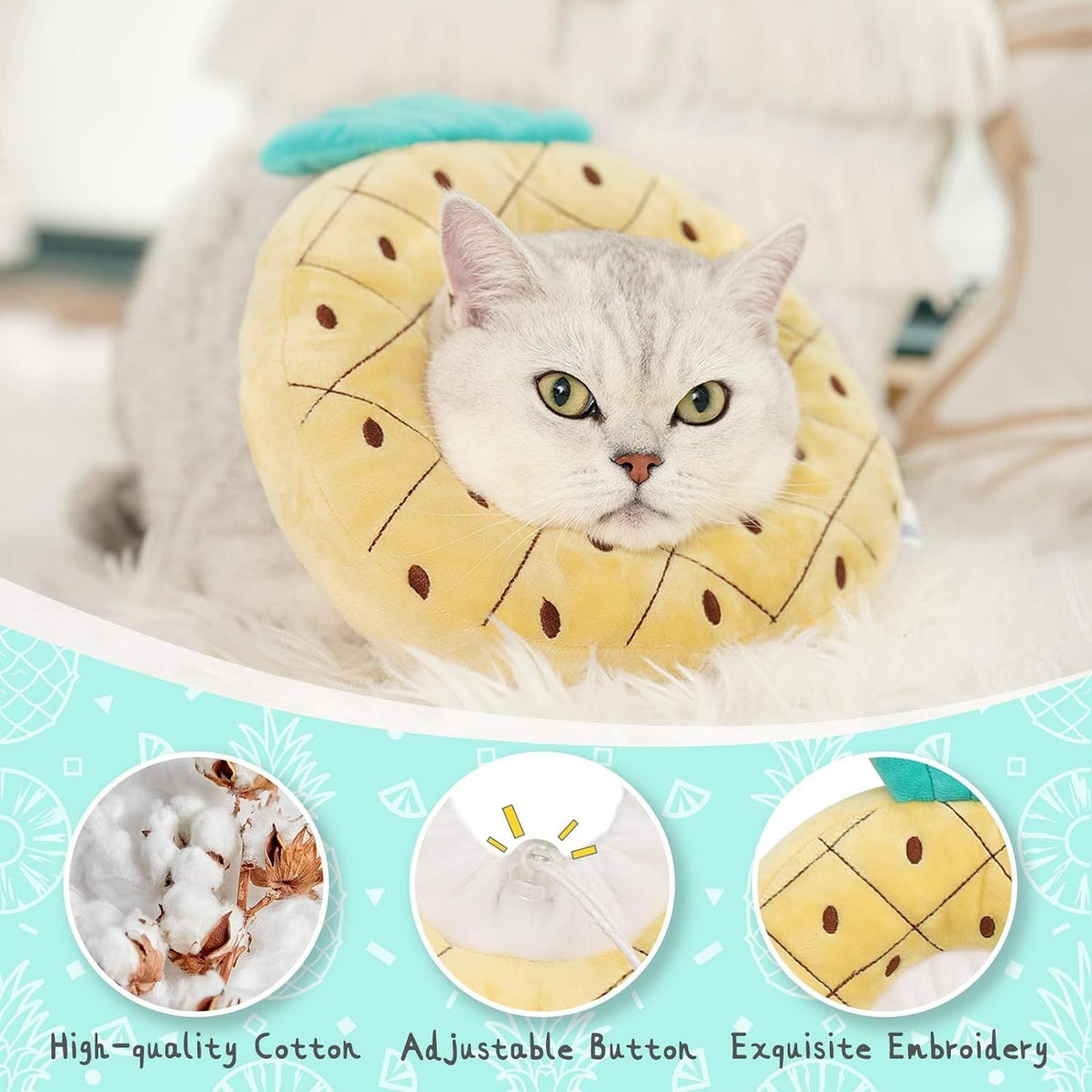 Cat Cone - Shopuz