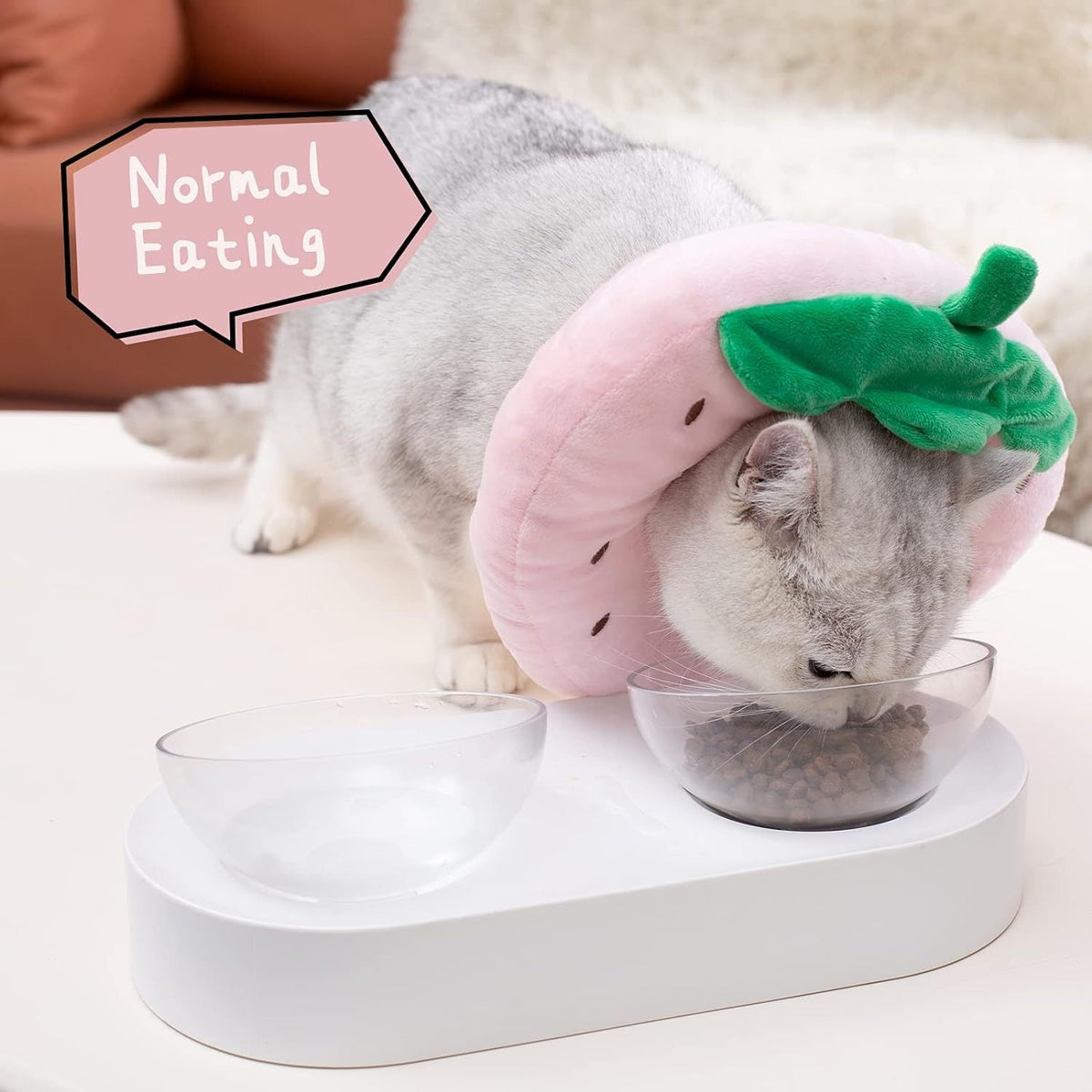 Cat Cone - Shopuz