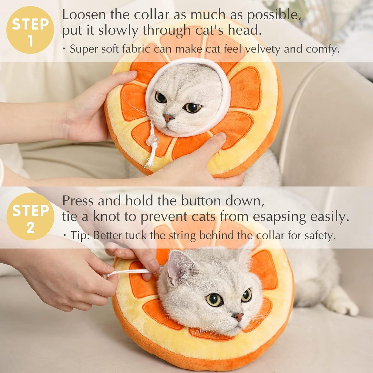 Cat Cone - Shopuz
