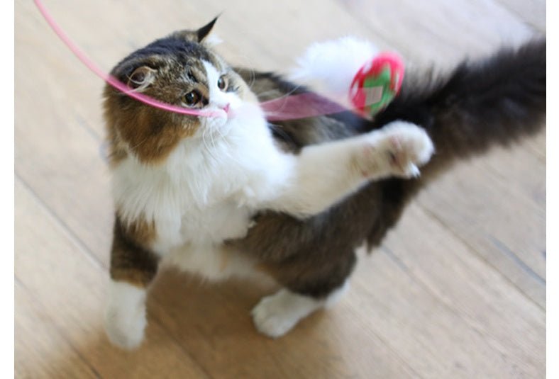 Cat Toy - Shopuz