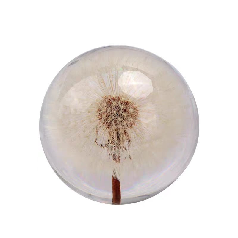 Dandelion - Shopuz