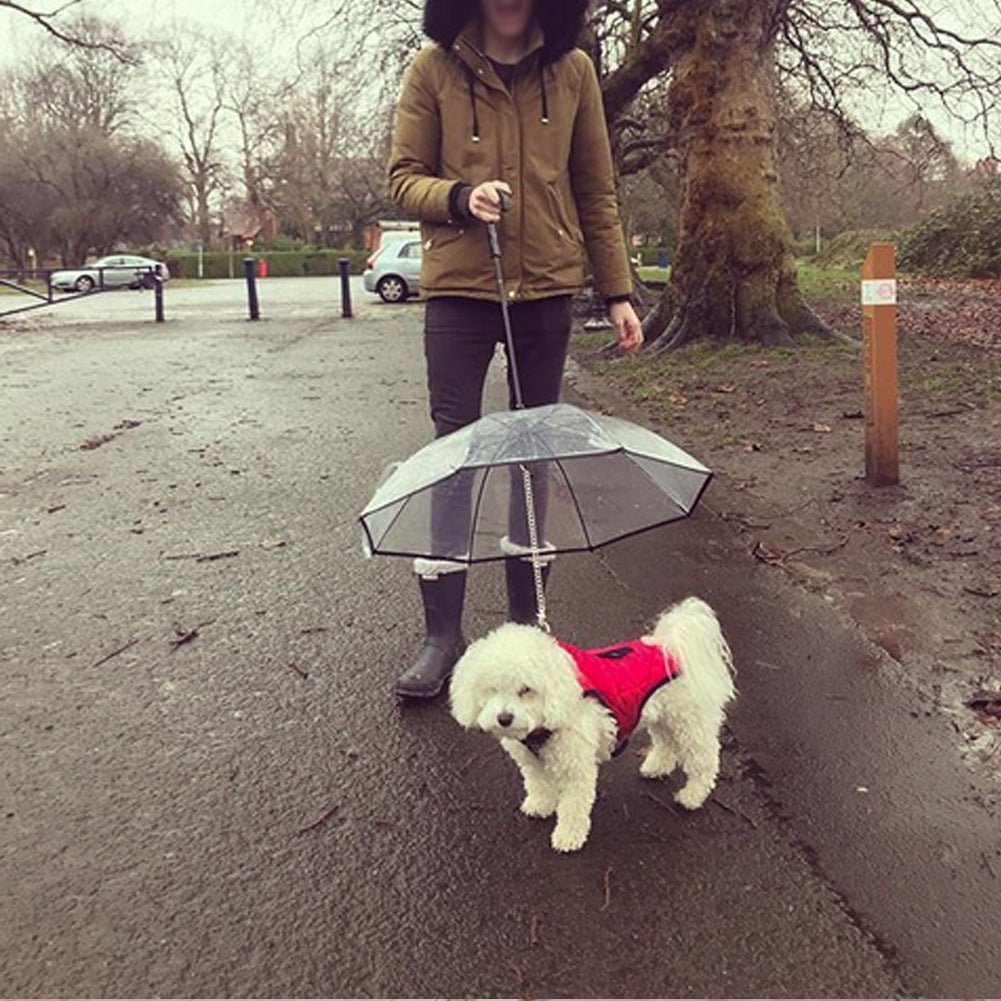 Dog Umbrella - Shopuz