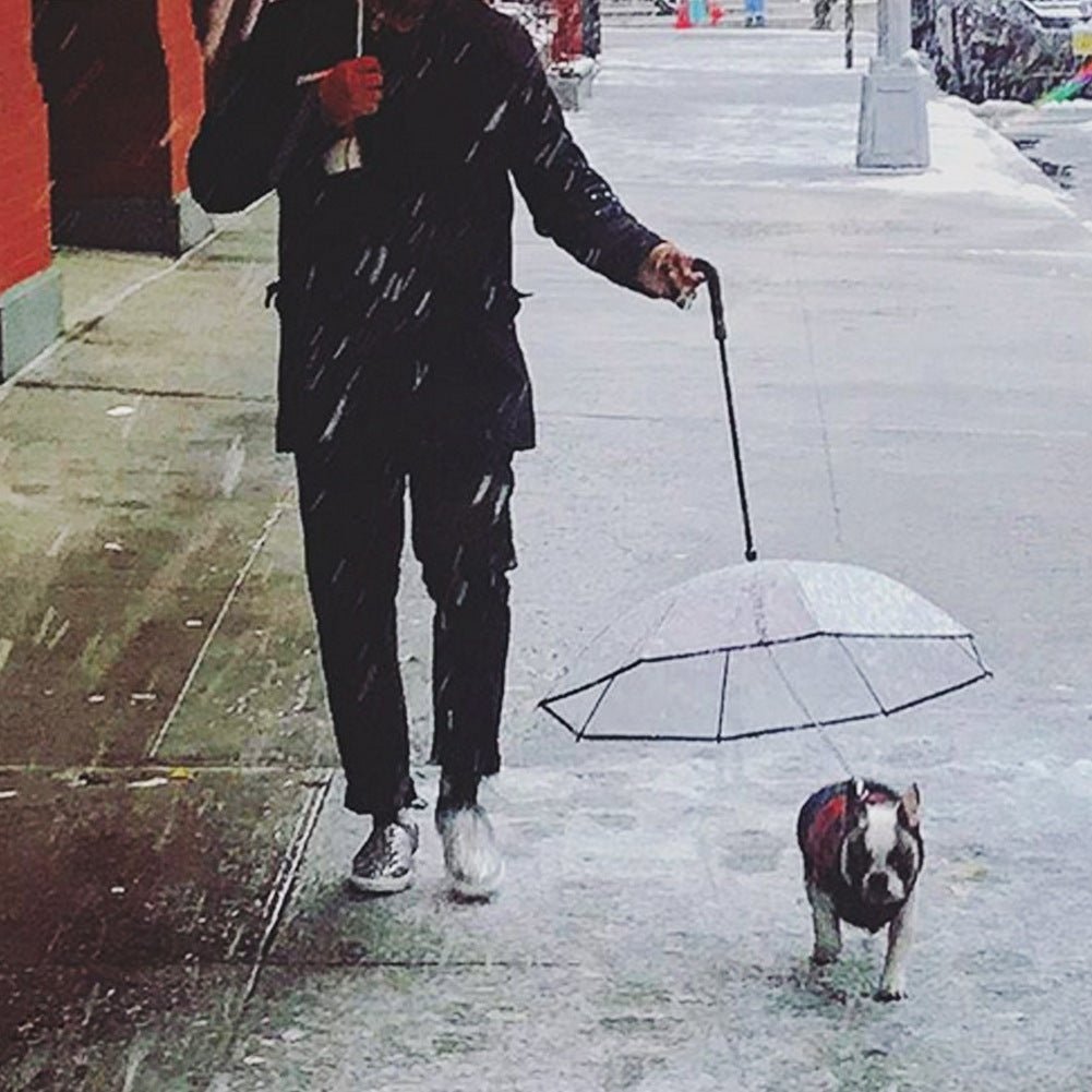 Dog Umbrella - Shopuz
