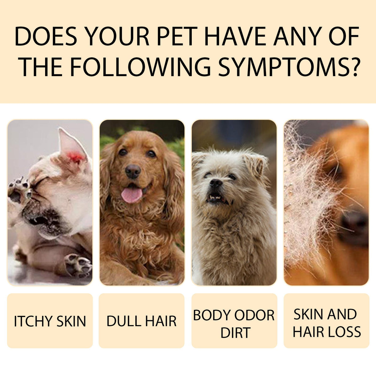 Dog Wet Shampoo - Shopuz