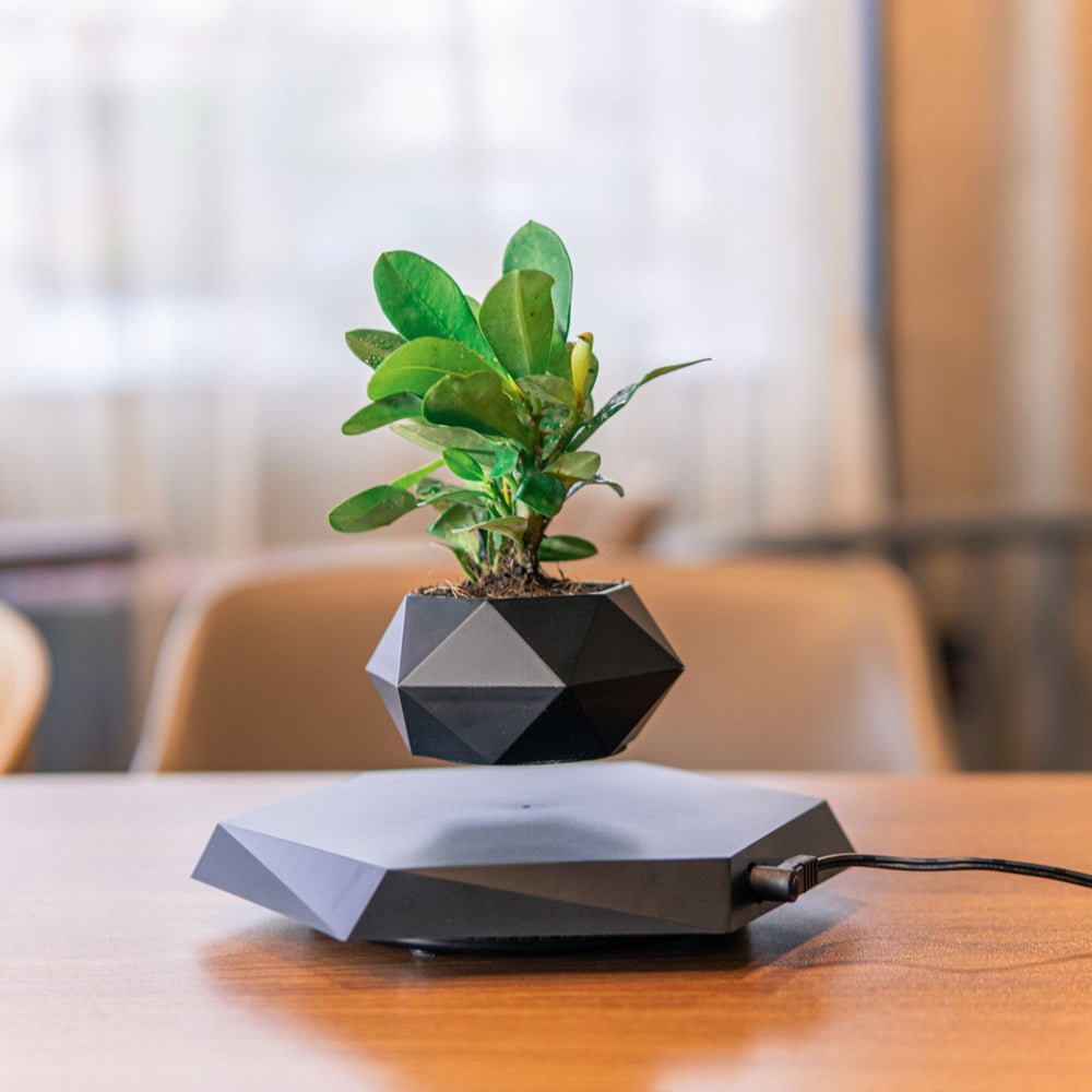 Floating Flower Pot - Shopuz