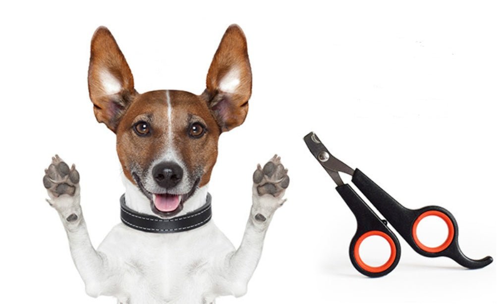 Pet Nail Clipper - Shopuz