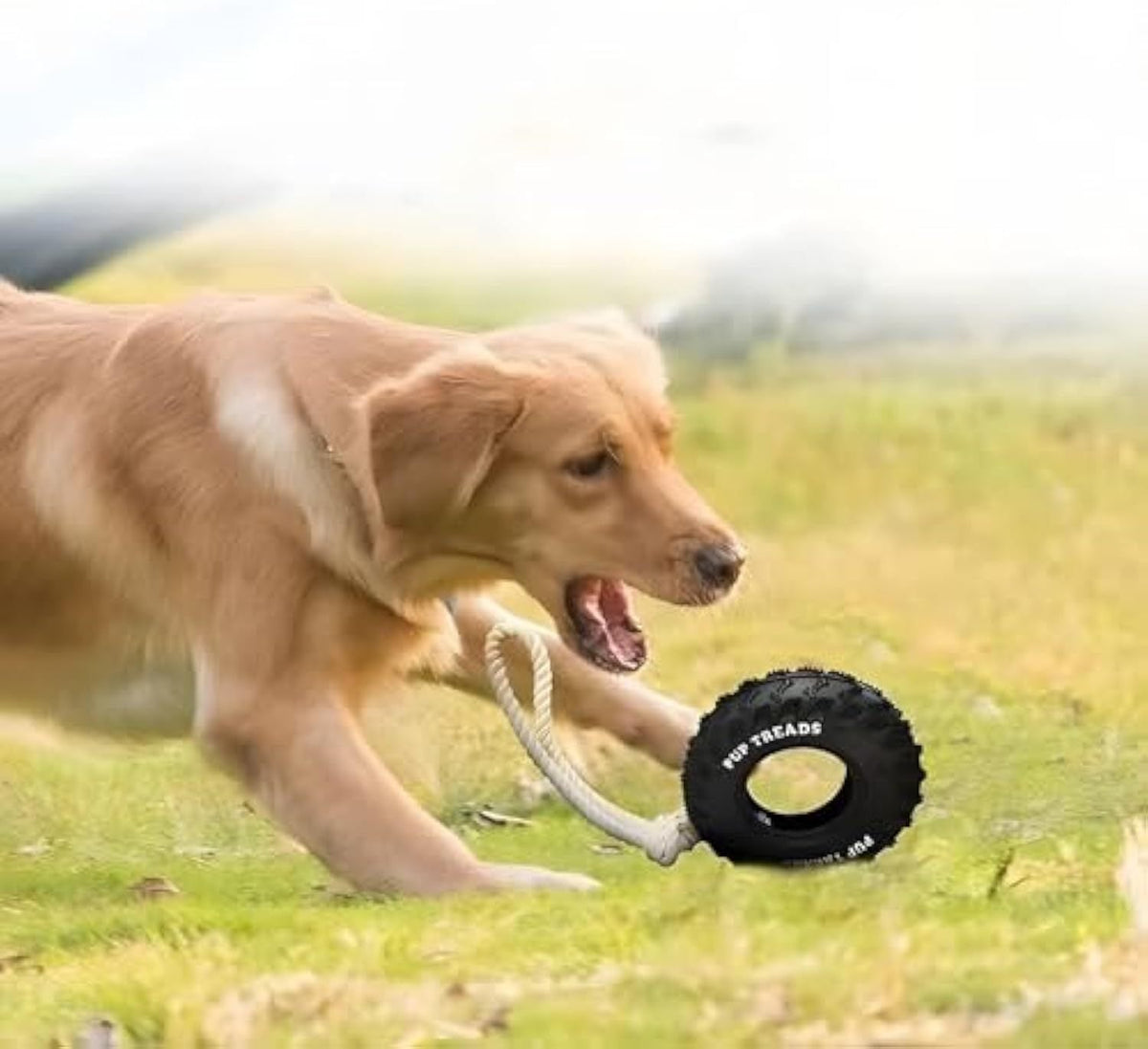 Tire Toy for Dog - Shopuz