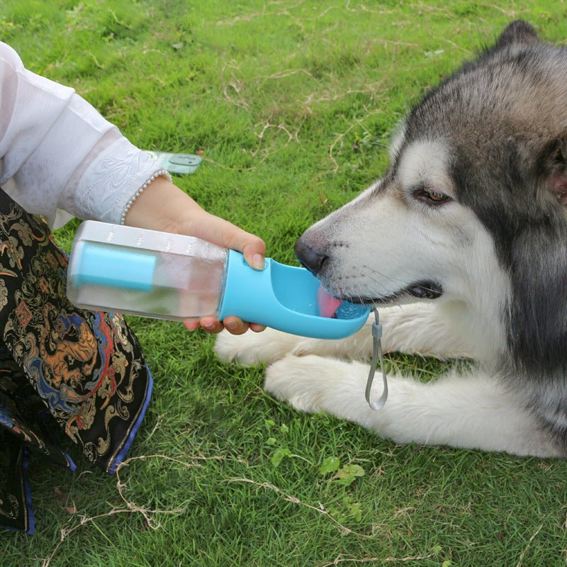 Water Bottle - Shopuz